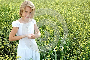 Yellow Feild of Flowers