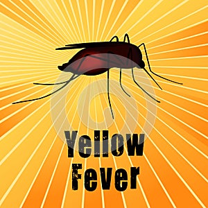 Yellow Fever, Blood-filled Mosquito, Gold Ray Background