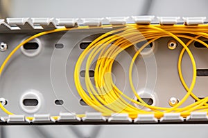 Yellow fiber optic cables coiled into a spool in an organizer. Horizontal orientation.