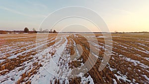 Yellow field covered with snow. Winter sunset. Aerial footage. Low altitude