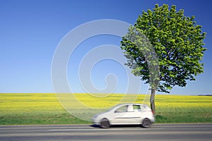 Yellow field with a fast car.