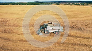 Yellow field with rye getting reaped by an agricultural vehicle