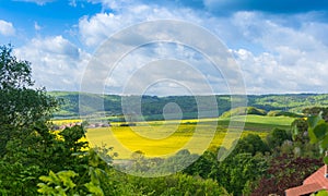Yellow field in sunlight