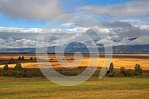 Yellow fields, clouds and mountains.