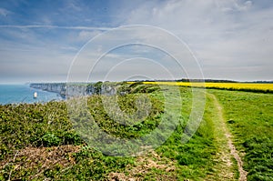 Yellow fields and coastlne in Normandy, hiking path