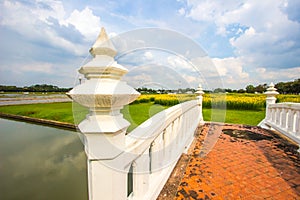 Yellow fields of Crotalaria junceasunn hemp and small white bridge at Phutthamonthon Public Park,Nakhon Pathom Province,Thailand