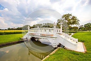 Yellow fields of Crotalaria junceasunn hemp and small white bridge at Phutthamonthon Public Park,Nakhon Pathom Province,Thailand