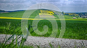 Yellow Fields in Lower Saxony