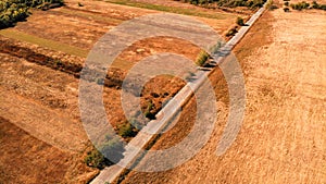 Yellow fields in Romania