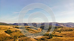 Yellow fields in Romania