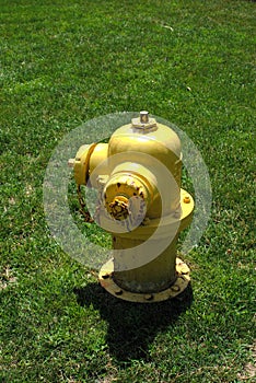 Yellow Fire Hydrant