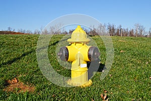 Yellow Fire Hydrant
