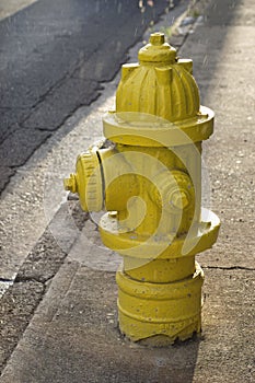 Yellow fire hydrant