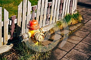 Yellow fire hydrant with red cap and silver lids. In the grass near a wooden fence.