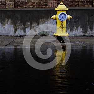 Yellow Fire Hydrant Reflected in Pool of Water Flood