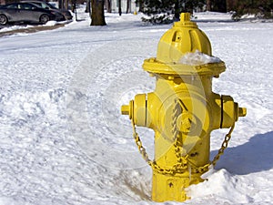 Yellow Fire Hydrant in the Snow