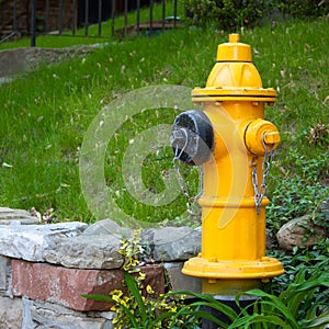 Yellow Fire Hydrant Toronto Canada