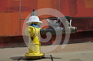 Yellow Fire Hydrant and Valves