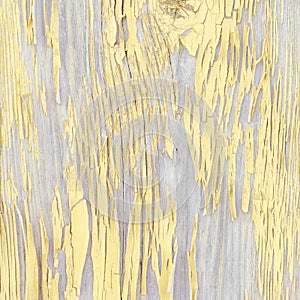 Yellow flaked wooden board. Close up