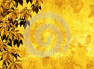 Yellow floral background