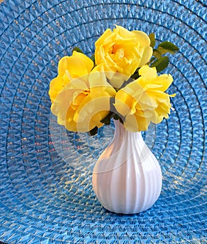 Yellow Floribunda Roses on Blue mat