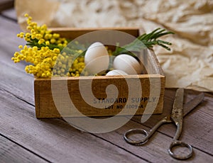 yellow flower close-up wood background easter spring still-life