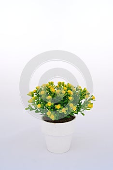 Yellow flower decoration