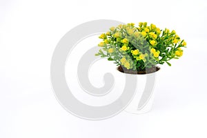 Yellow flower decoration