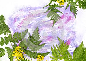 Yellow flower and grass bouquet and hand painted watercolor blot spot on white background. A4 paper size border frame photo with