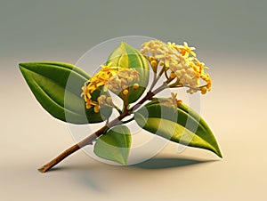 Yellow flower with green leaves and stems. It is placed on top of table, which has been painted white. The flower