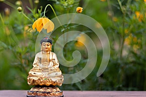 A yellow flower hanging as umbrella over a small Buddha statue for divinity and religion concept