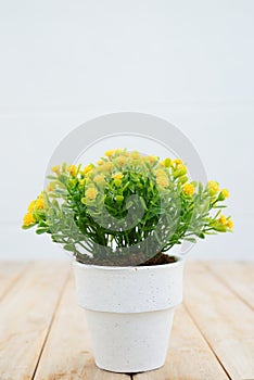 Yellow flower for home decoration