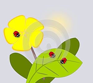 Yellow Flower and Ladybugs.