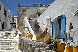 Yellow flower pots in a village in Greece