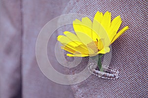 Yellow flower stuck in oldfashioned coat lapel buttonhole, close up
