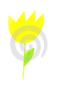 Yellow flower on a white background