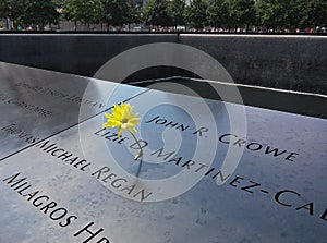 Yellow flower on World Trade Center Memorial pool. August 2015