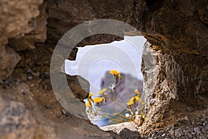 Yellow flowering plant seen through rock formation on cliff at island