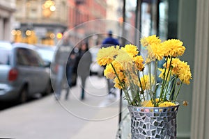 Yellow flowers