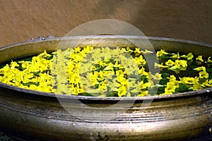 Yellow flowers in ancient garden tub with water