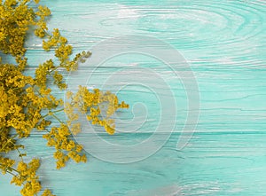 Yellow flowers autumn frame decoration blooming on a blue wooden background