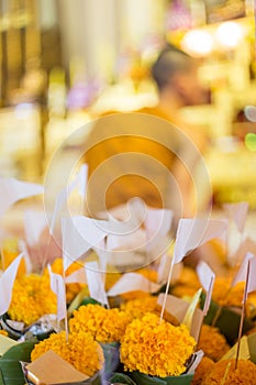 Yellow flowers that Buddhists bring to pay respect to monks