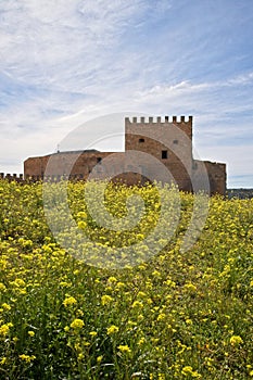 Castillo de PeÃÂ±aroya, near Ruidera, Spain