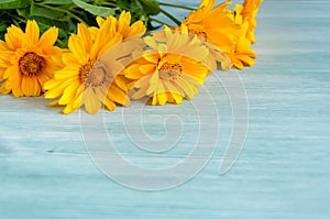 Yellow flowers composition on wooden background. Spring, easter, bithday