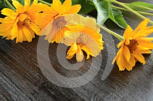 Yellow flowers composition on wooden background. Spring, easter, bithday