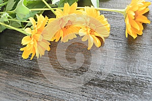 Yellow flowers composition on wooden background. Spring, easter, bithday