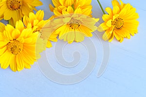 Yellow flowers composition on wooden background. Spring, easter, bithday