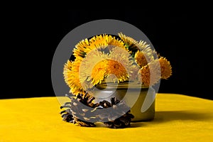Yellow flowers dandelions in a jar on a black-yellow fon