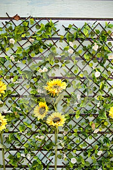 Yellow flowers decorated