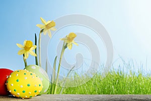 Yellow Flowers and easter eggs
